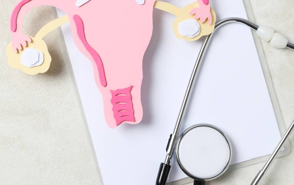 Check Up Ginecológico Ginecología en Mérida