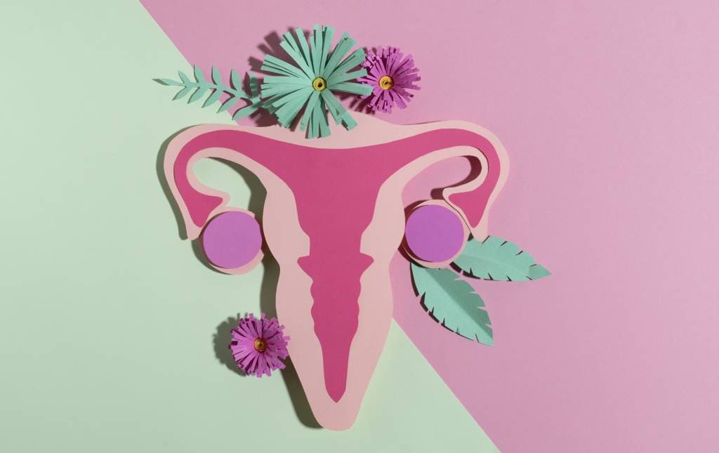 Check Up Ginecológico Ginecología en Mérida