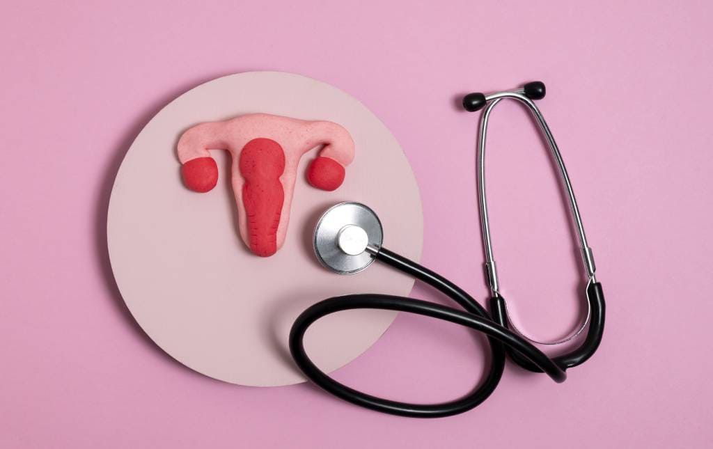 Check Up Ginecológico Ginecología en Mérida