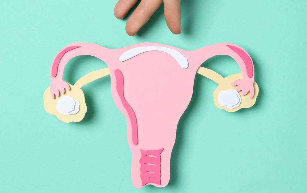 Check Up Ginecológico Ginecología en Mérida