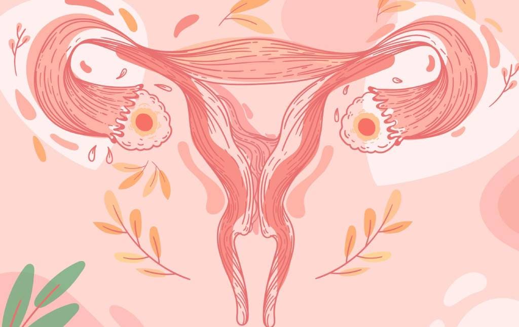 Check Up Ginecológico Ginecología en Mérida