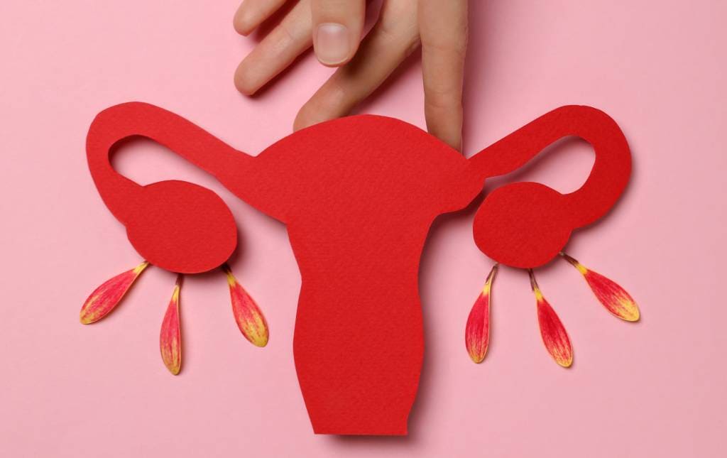 Check Up Ginecológico Ginecología en Mérida