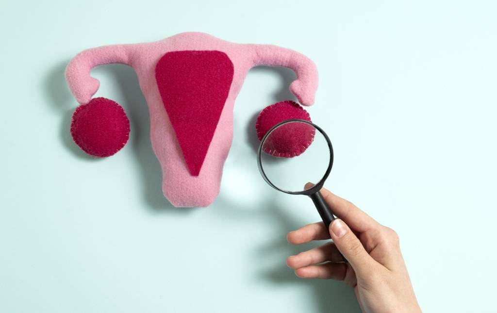 Check Up Ginecológico Ginecología en Mérida