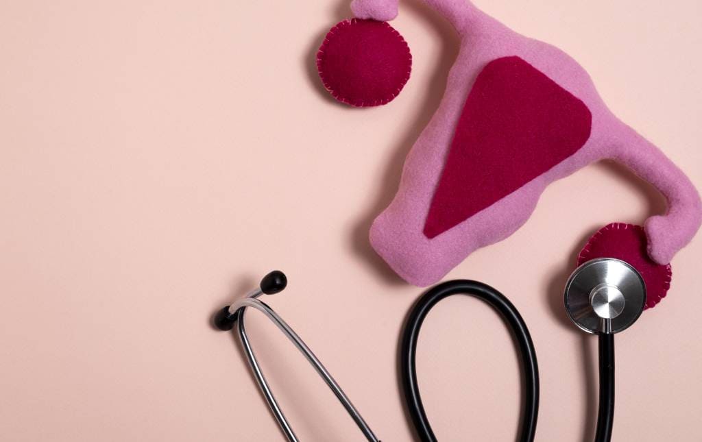 Check Up Ginecológico Ginecología en Mérida