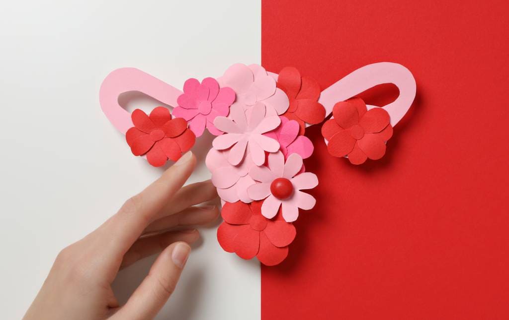 Check Up Ginecológico Ginecología en Mérida